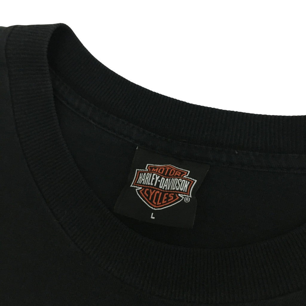 Vtg 2004 Harley-Davidson Wolf Fire Tee Effingham IL L