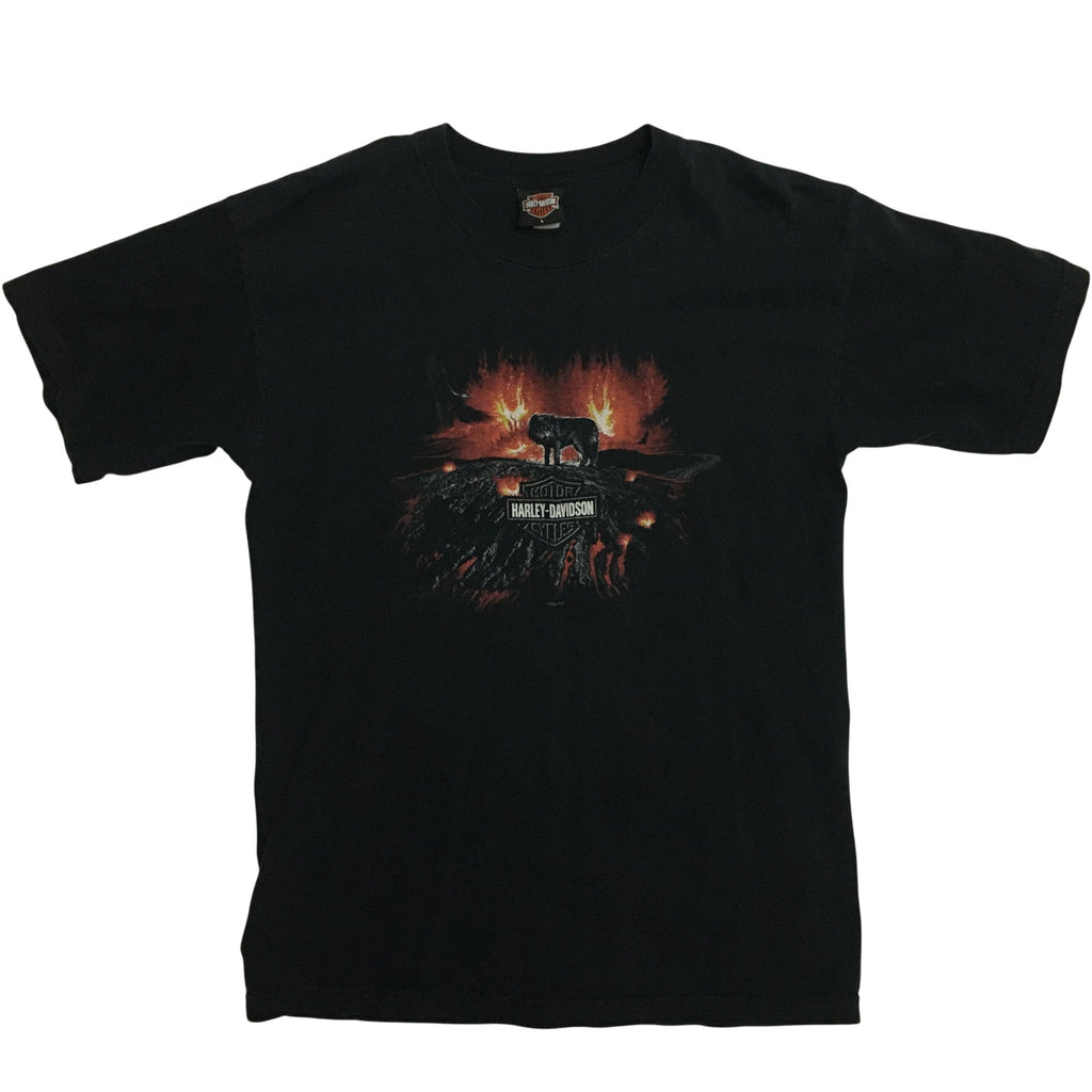 Vtg 2004 Harley-Davidson Wolf Fire Tee Effingham IL L
