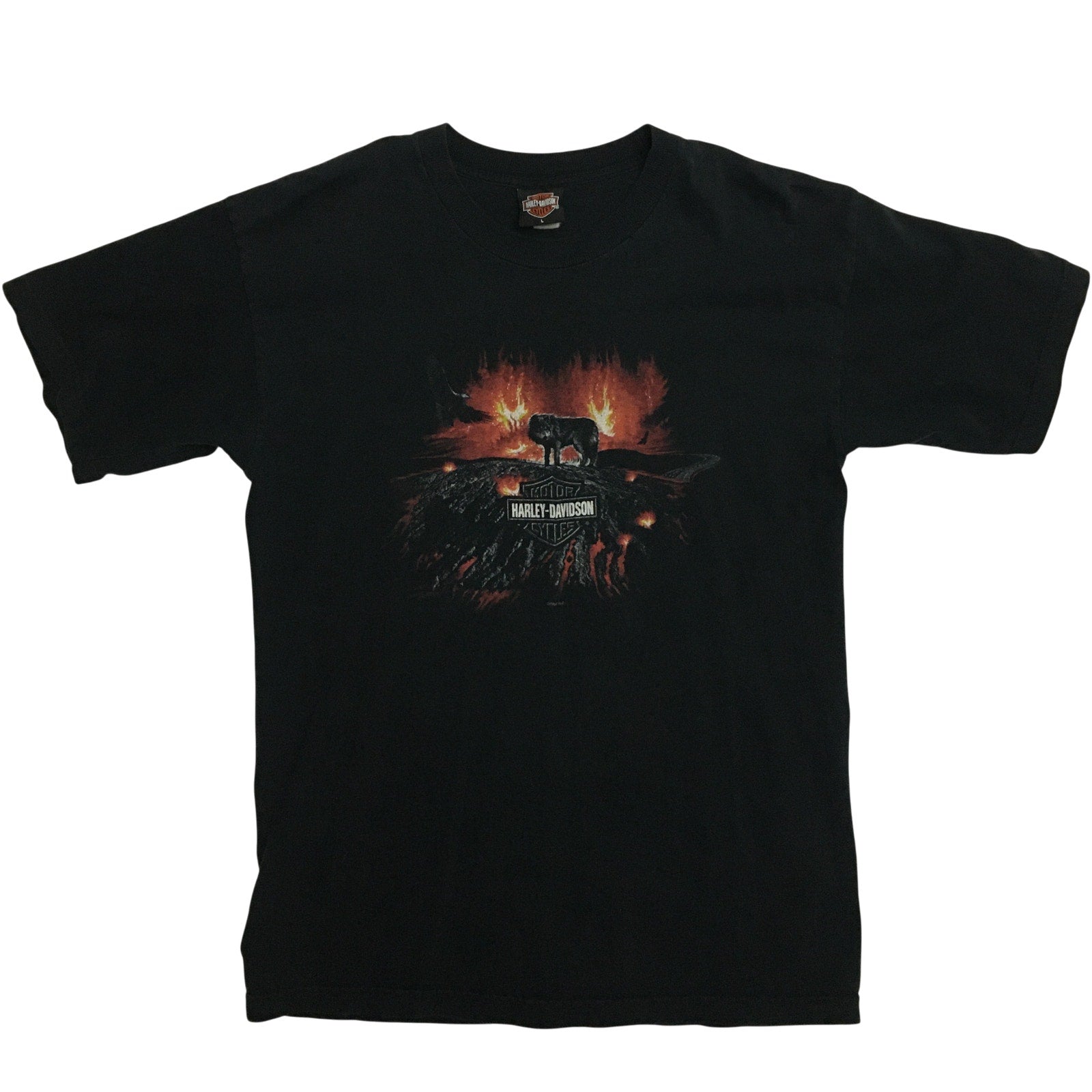 Vtg 2004 Harley-Davidson Wolf Fire Tee Effingham IL L
